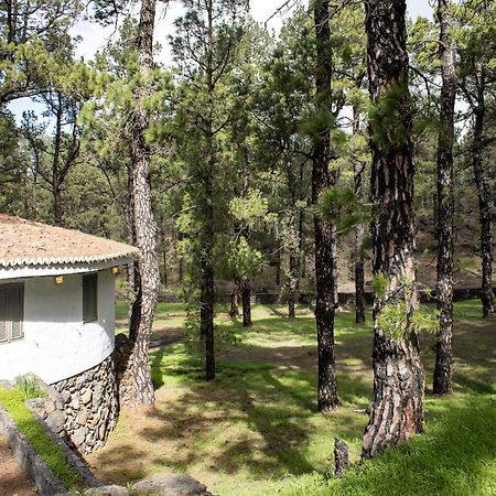 Vivienda Vacacional Finca La Redonda El Paso Εξωτερικό φωτογραφία