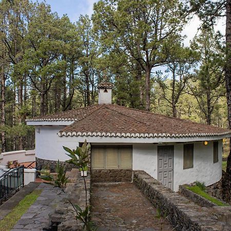 Vivienda Vacacional Finca La Redonda El Paso Εξωτερικό φωτογραφία