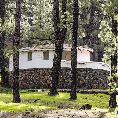 Vivienda Vacacional Finca La Redonda El Paso Εξωτερικό φωτογραφία