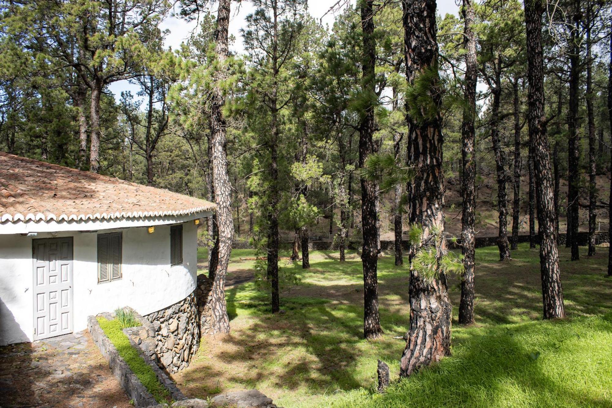Vivienda Vacacional Finca La Redonda El Paso Εξωτερικό φωτογραφία